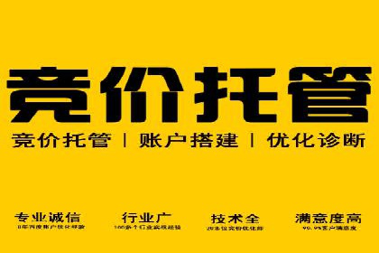 百度优化推广策略解析与应用案例
